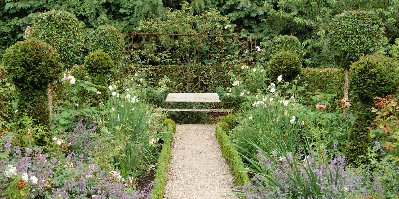 Mastering Garden Layout: Strategic Plant Placement Tips for Beyond Gravel and Rocks How to Create Lush Microclimates With Strategic Plant Placement