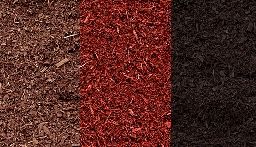 Mulch Colors And Types At Tamara Moylan Blog within Best Mulch For Flower Beds Color