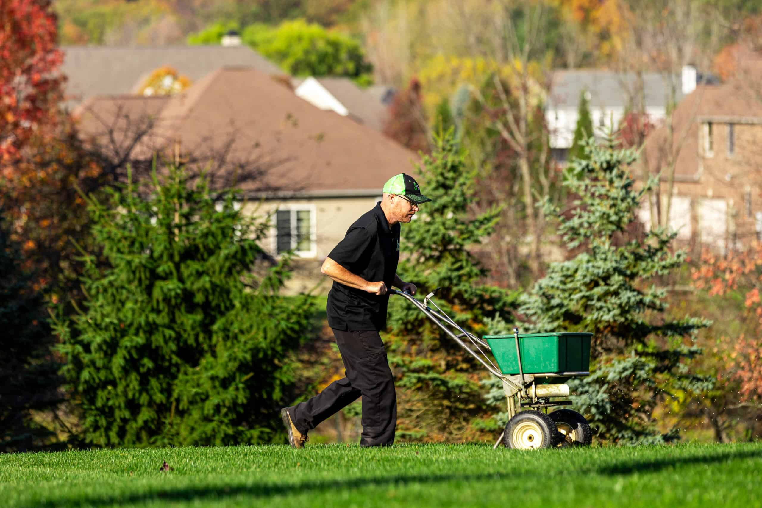 Organic Vs. Synthetic Fertilizer: Which Is Right For Your Northeast ... intended for Organic vs Synthetic Lawn Fertilizers Which One Truly Delivers Greener Grass