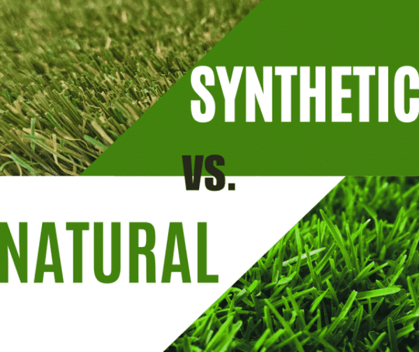 Real Turf Vs Synthetic Turf: Pros, Cons & Which Lawn Is Best For You ... for Organic vs Synthetic Lawn Fertilizers Which One Truly Delivers Greener Grass