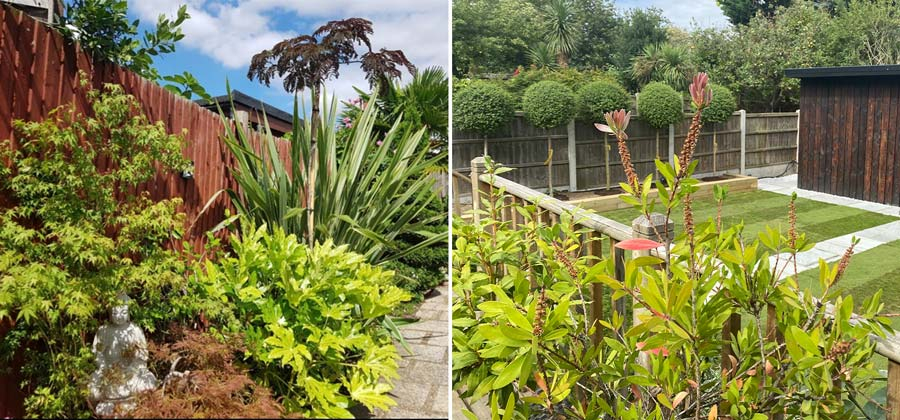Small City Garden Ideas: Big Impact In Compact Spaces – Garden Plants ... with regard to Why your compact garden feels crowded and the easy fixes to add instant visual depth