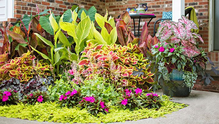 Small Shade Garden Plans | Diy Projects & Ideas throughout Small Space Big Impact DIY Garden Ideas from Lowe’s That Won’t Break the Bank