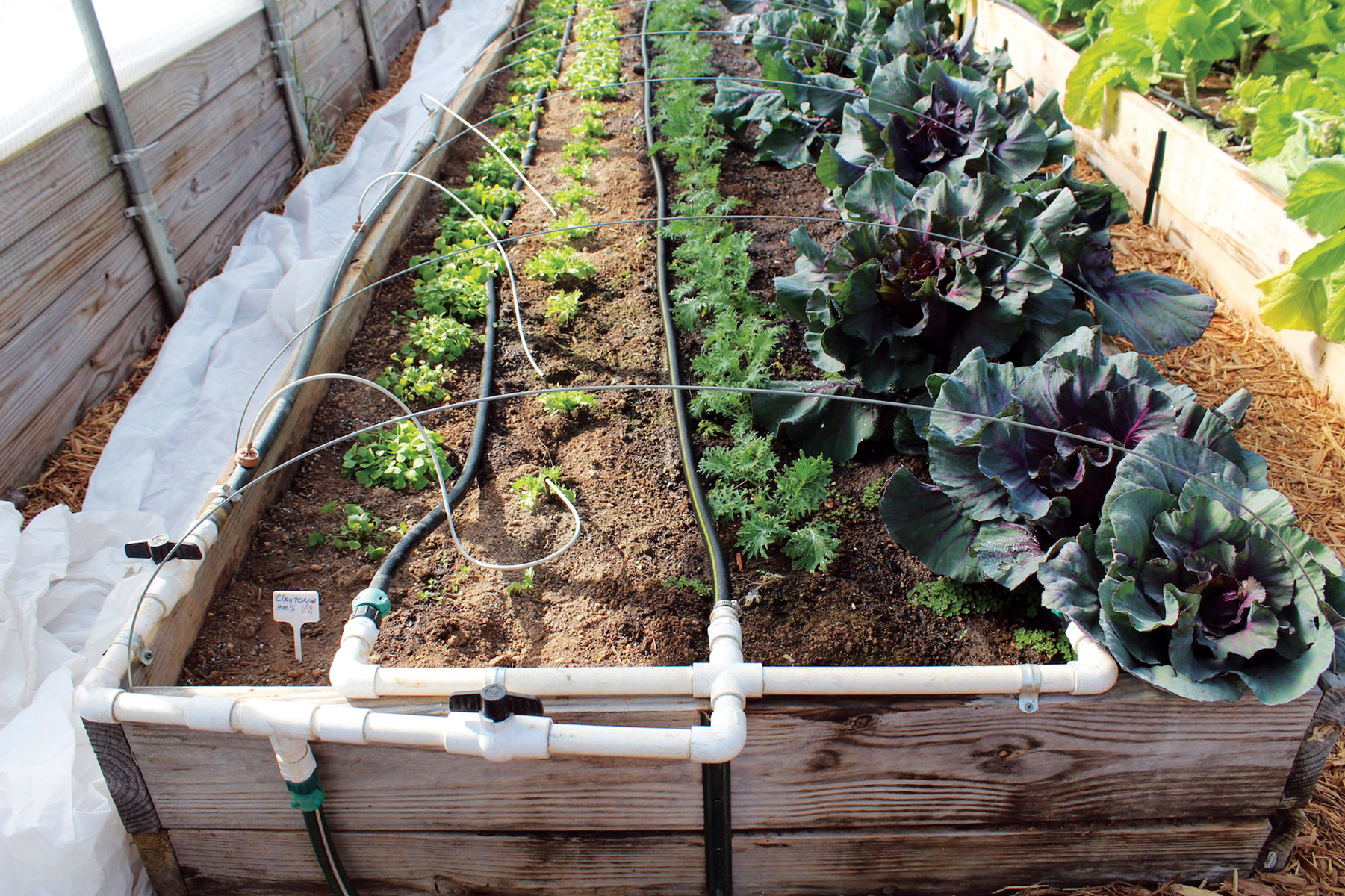 Step-By-Step Guide To Installing An Efficient Drip Irrigation System ... with Drip Irrigation Diy Vegetable Garden