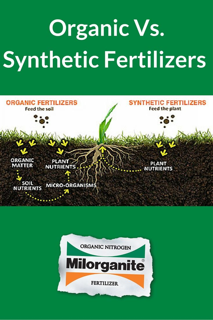 The 5 Best Organic Lawn Fertilizers – Artofit in Best Fertilizer For Green Lawn Home