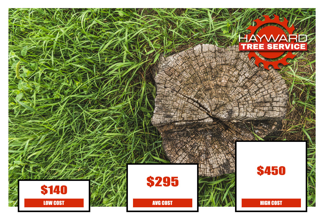 Tree Stump Grinding Cost | Hayward Tree Service with regard to How Much Does Stump Grinding Cost
