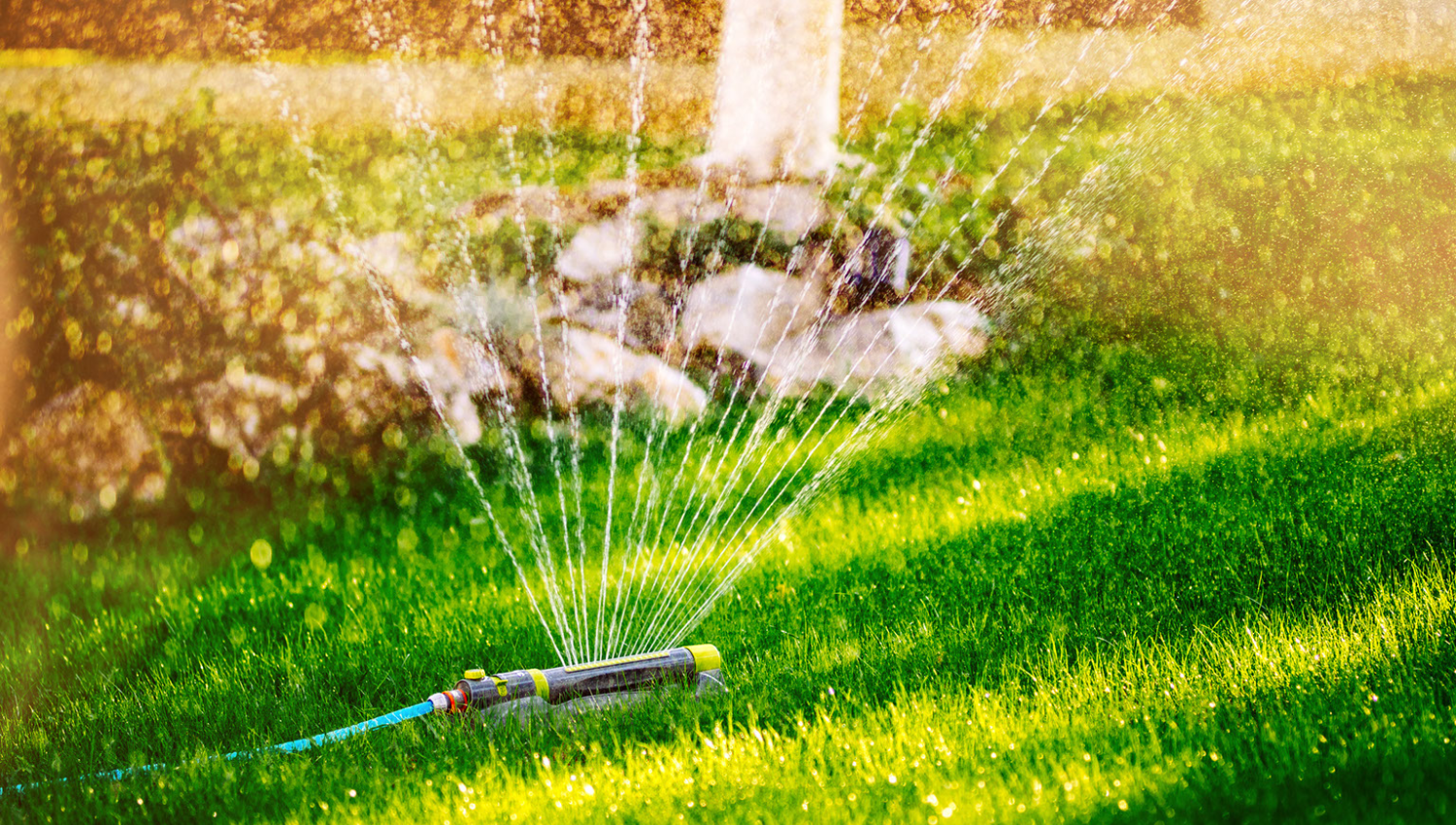 Watering Guide - Troys Lawn Care throughout The Definitive 2026 Guide to Lawn Watering Times for Vibrant and Resilient Grass