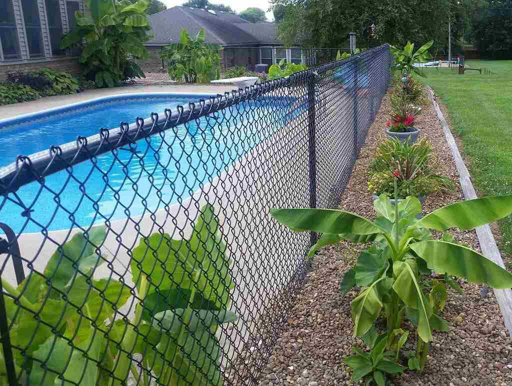 10 Fence Line Landscaping Ideas To Enhance Your Yard - Home Briefings with regard to How To Hide Ugly Fence With Plants