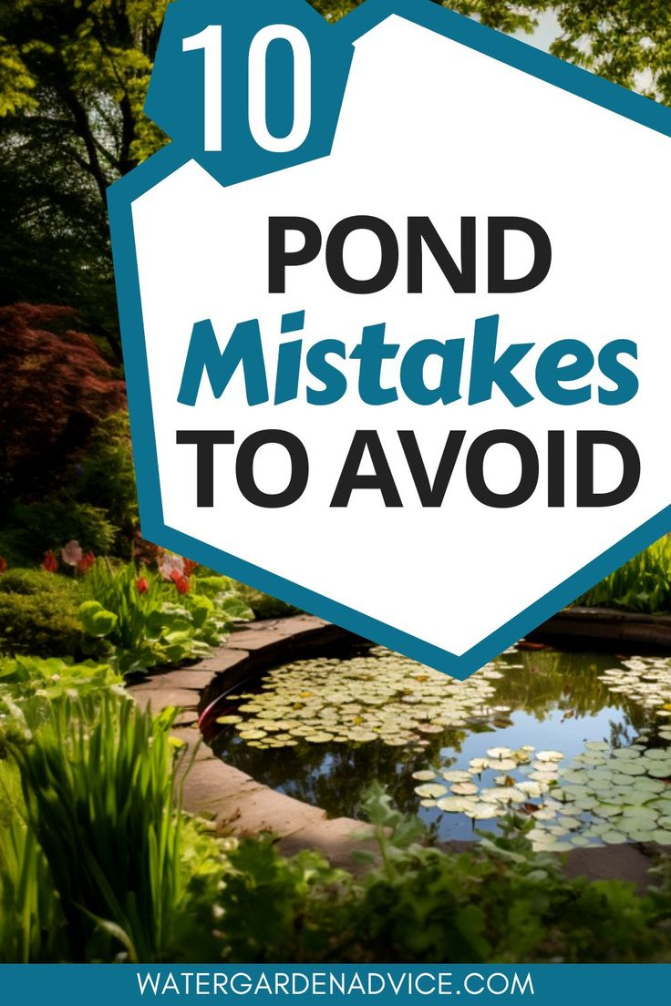 10 Pond Mistakes To Avoid | Ponds Backyard, Fish Ponds Backyard, Pond ... for How Much Does A Garden Pond Cost