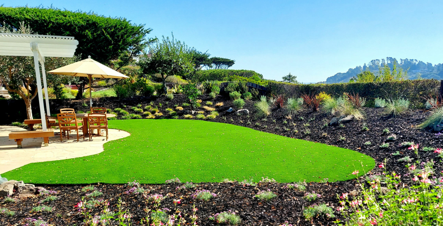 10 Things You Need To Know About Removing Your Lawn – Gardeners' Guild ... with Everything you need to know about establishing a resilient lawn where traditional turfgrass fails to thrive
