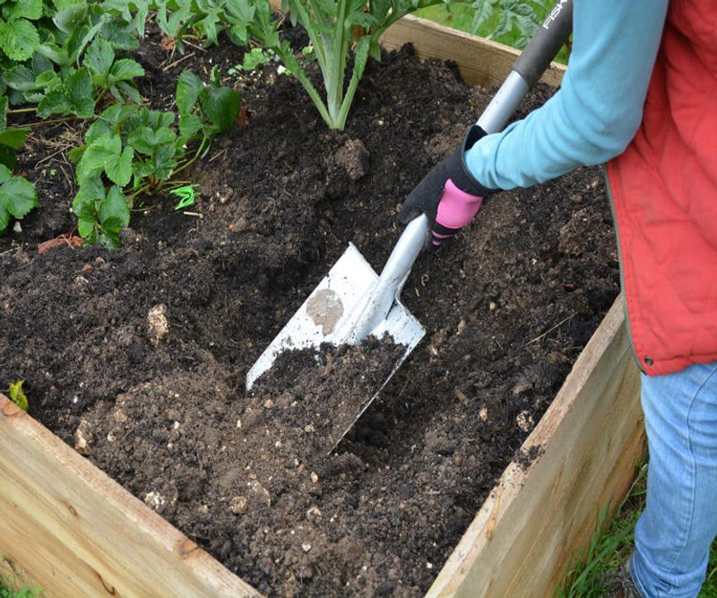 12 Reasons Why Raised Bed Gardens Are Best - Complete Gardening intended for Why the Best Raised Bed Soil Blends Balance Drainage and Nutrients Perfectly