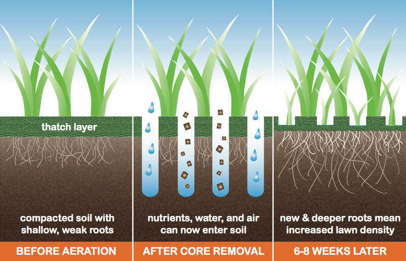12 Ways To Get Rid Of Standing Water for Lawn Aeration When And How To Do It