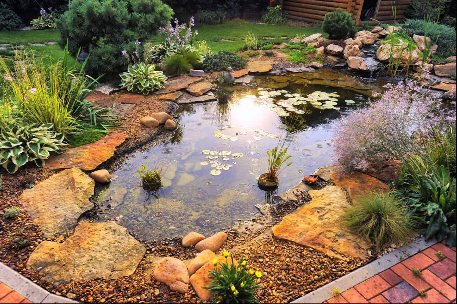15 Pond Mistakes To Avoid In Your Backyard – Gardentabs.com inside What Homeowners Actually Pay for a Garden Pond and How to Avoid Hidden Expenses
