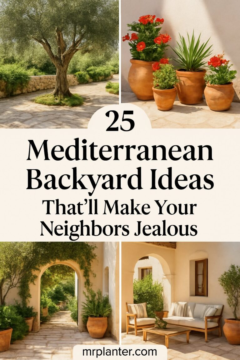 25 Gorgeous Mediterranean Backyard Ideas You Need To Save in Real backyard transformations showing how Mediterranean landscaping beats the heat