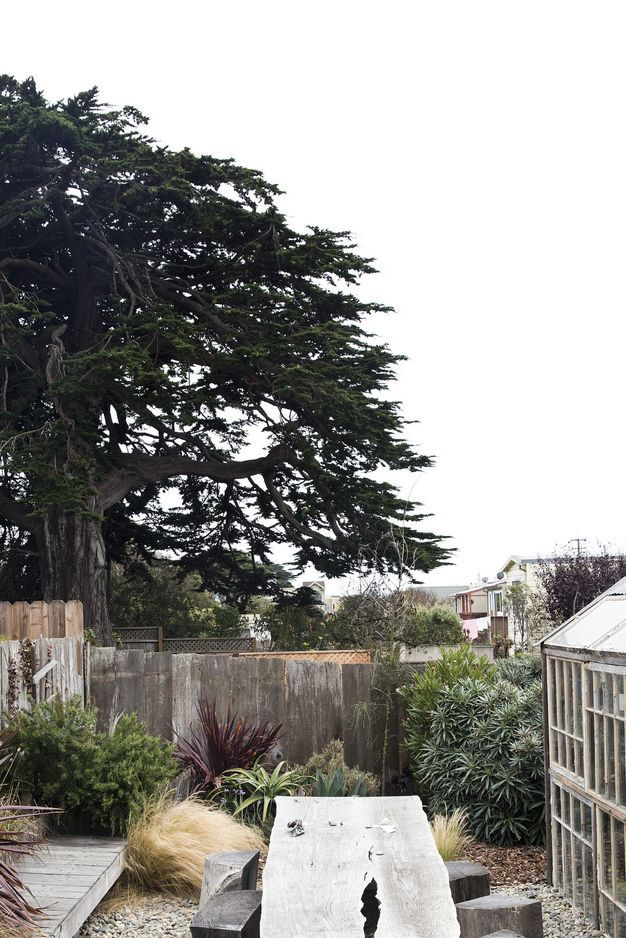 37 Small Backyard Ideas For Outdoor Fun | Tree For Small Backyard ... with Real Ways to Make Your Small Outdoor Area Feel Twice as Big