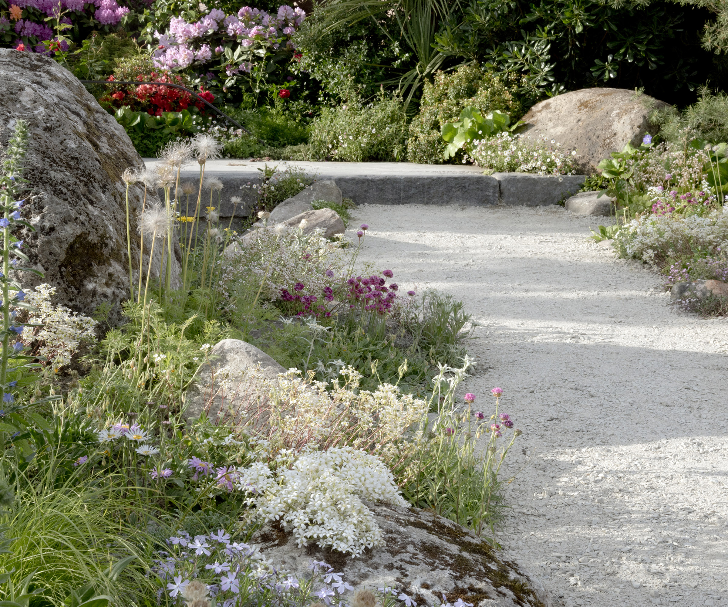5 Garden Drainage Ideas To Help Prevent Flooding | Homes And Gardens with Creative Rain Garden Designs That Stop Yard Flooding and Protect Your Foundation