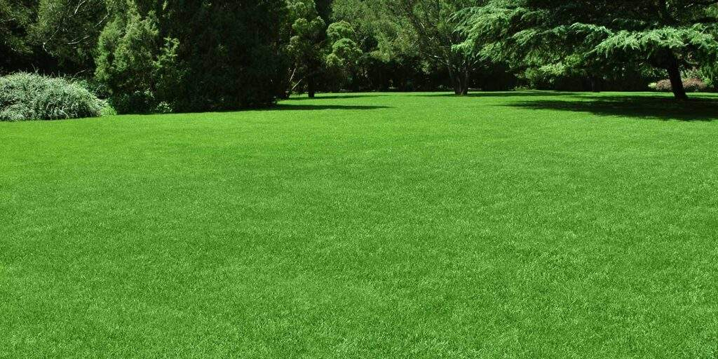 5 Pro Tips For A Healthy Green Lawn – Green Grounds Landscaping Llc with How Landscaping Companies Price Jobs