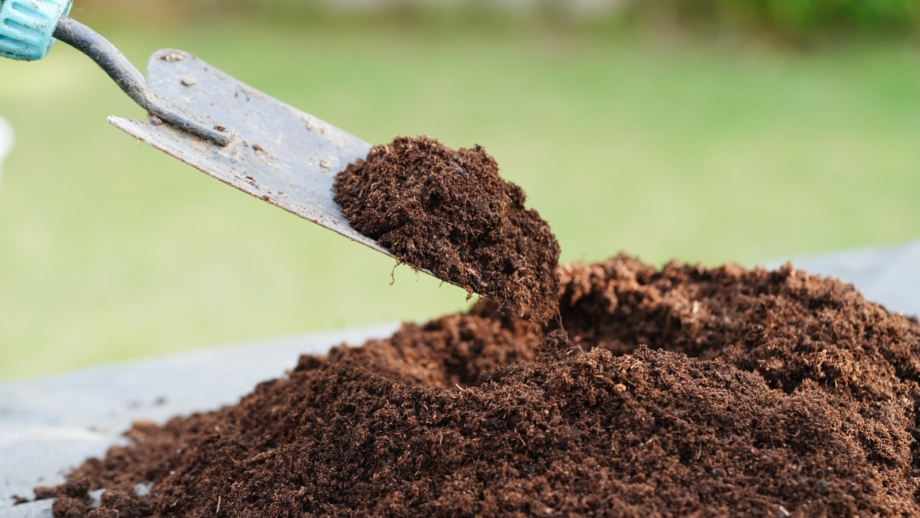 5 Reasons To Choose Peat-Free Soil Mix This Season within How To Get Free Compost For Garden