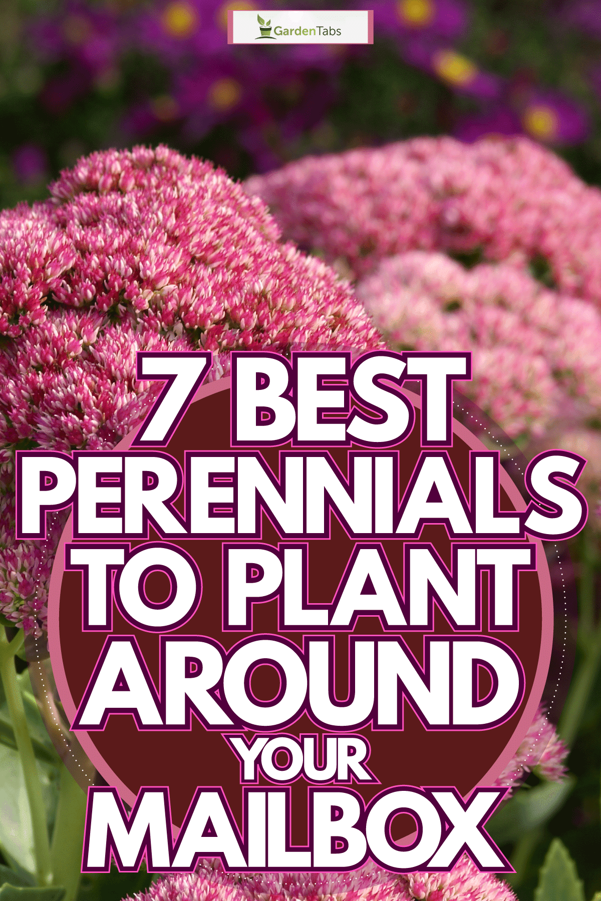 7 Best Perennials To Plant Around Your Mailbox | Mailbox Flowers ... within Walmart Plants For Landscaping Budget