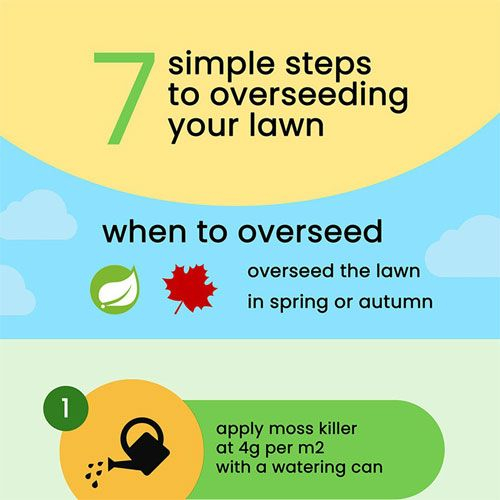 7 Simple Steps To Overseeding Your Lawn pertaining to Real Experts Share the Exact Steps for Successful Fall Overseeding