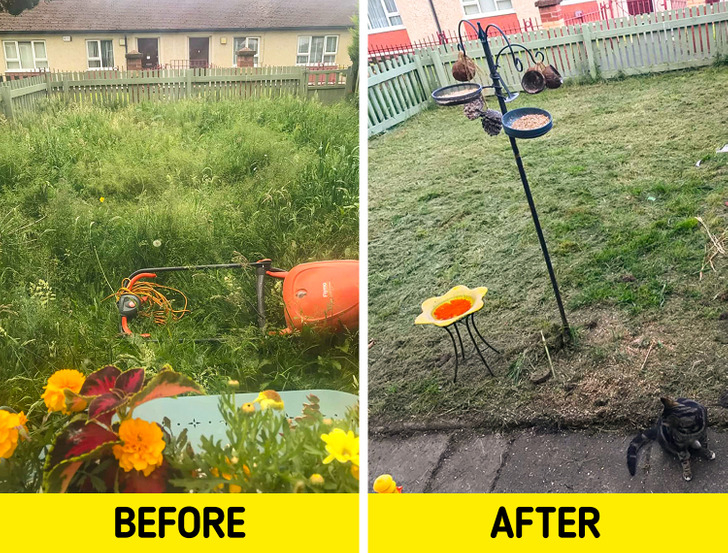 8 Ways To Make Your Backyard Look More Expensive Without Spending A Fortune pertaining to How I Cleared That Stubborn Yard Obstacle Without Spending a Fortune