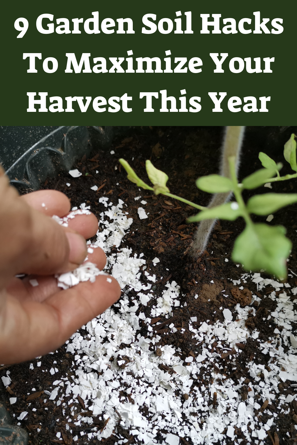 9 Garden Soil Hacks To Maximize Your Harvest This Year | Fertilizer For ... pertaining to How To Stretch Landscaping Budget Further