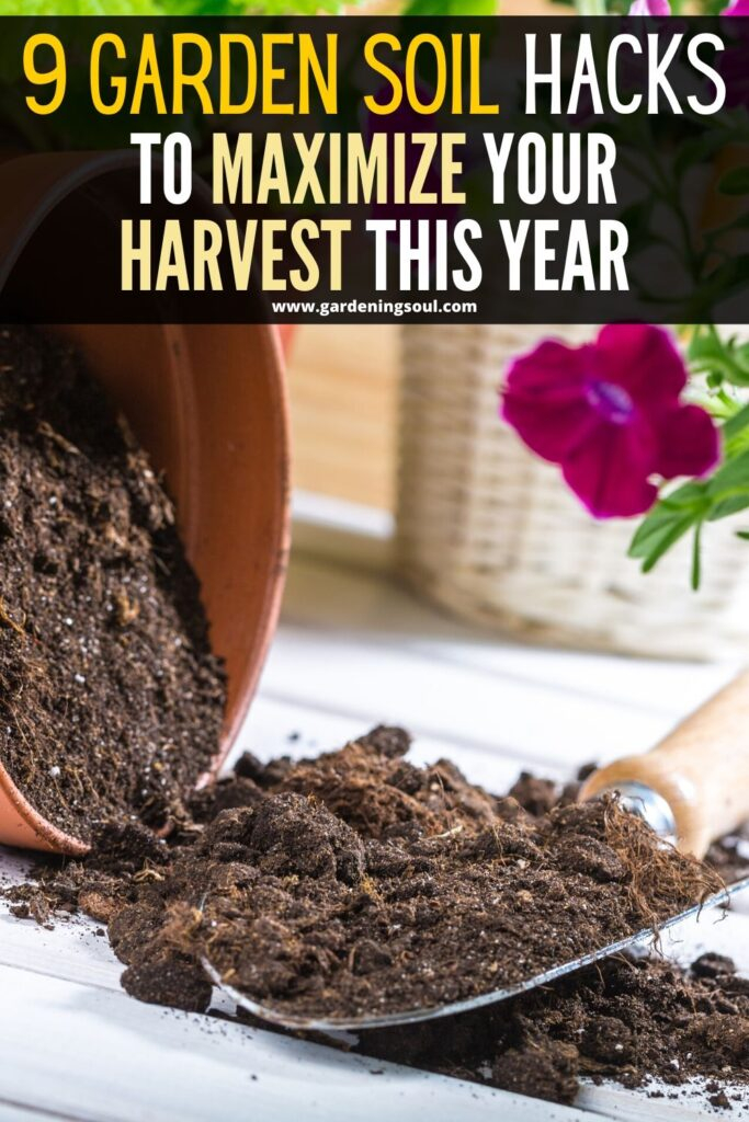 9 Garden Soil Hacks To Maximize Your Harvest This Year intended for How To Stretch Landscaping Budget Further