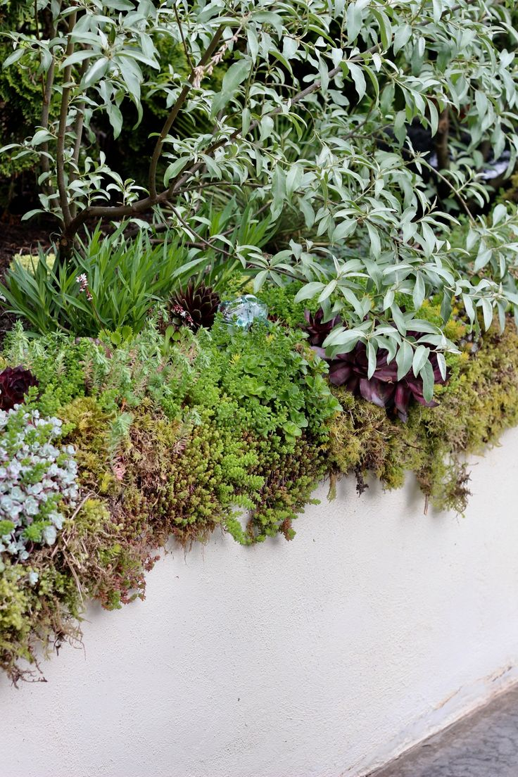 Curb Appeal: Year-Round Greenery In A Cold Climate - Gardenista | Urban ... with Winter Landscaping Ideas Curb Appeal