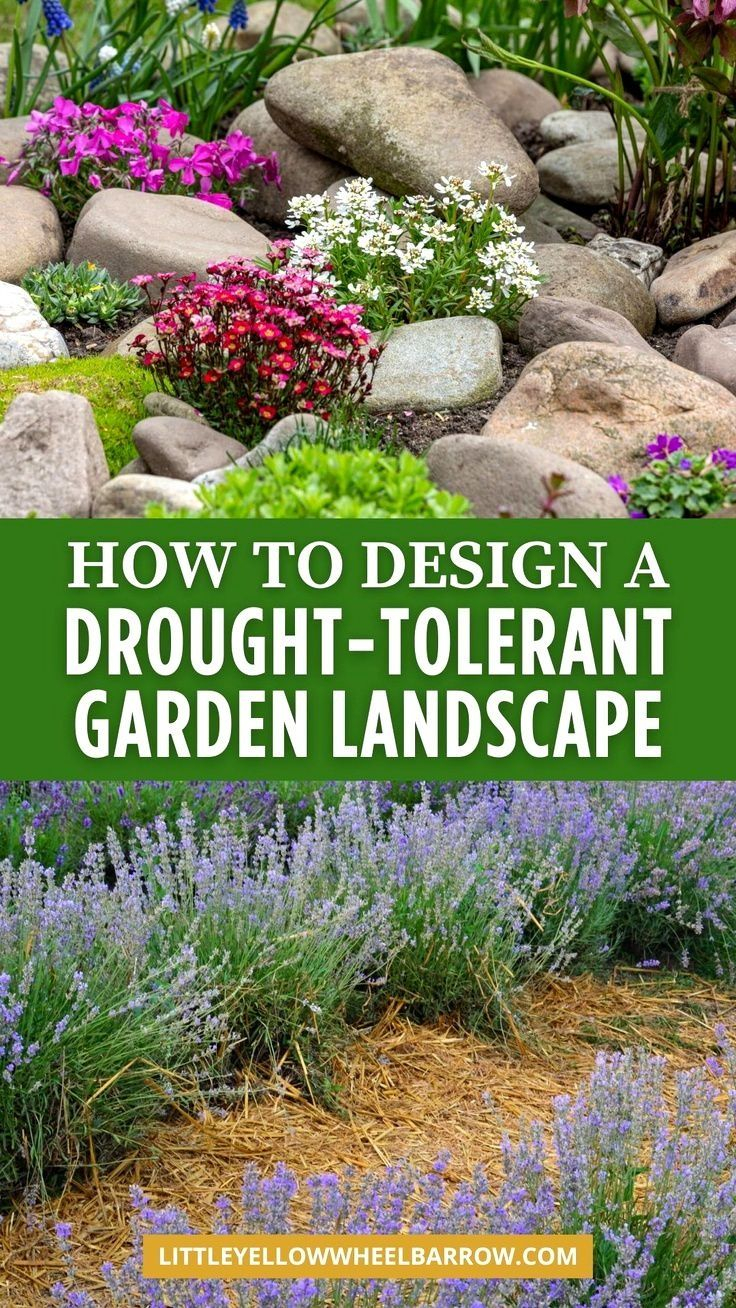Design A Drought-Tolerant Landscape: Step By Step Guide | Drought ... pertaining to How to build a beautiful drought-tolerant yard that survives the summer and saves you money