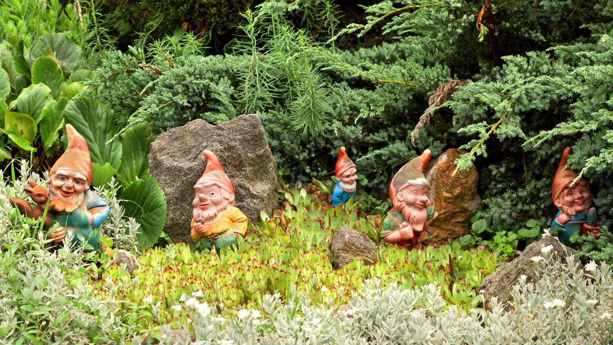 Ditch These Tacky, Outdated Landscaping &amp;#039;Trends&amp;#039; | Lifehacker inside How To Refresh Old Landscaping
