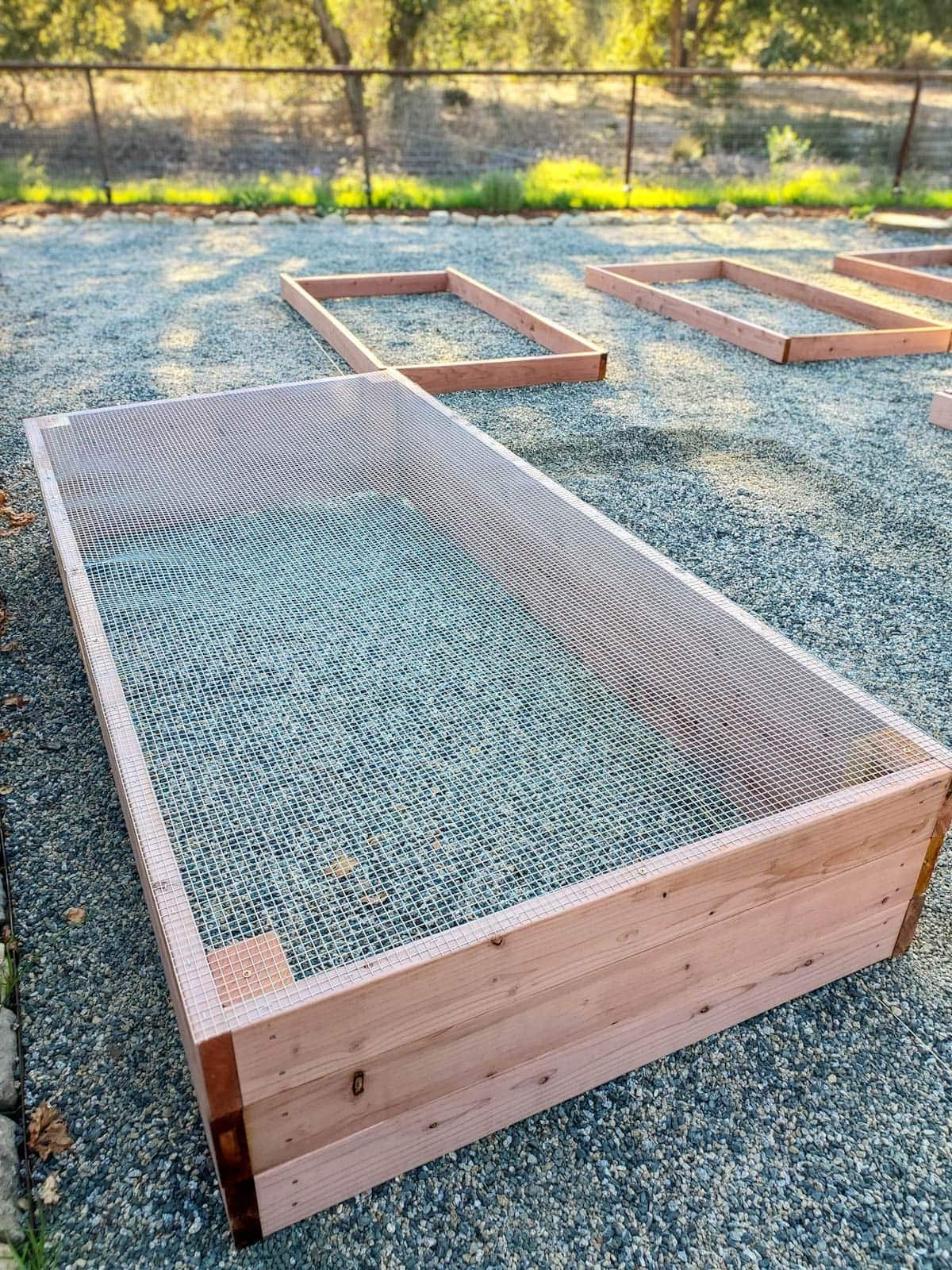 Diy Elevated Garden Bed in How to Build a High-Yield Raised Garden Bed This Spring for Less Than $50
