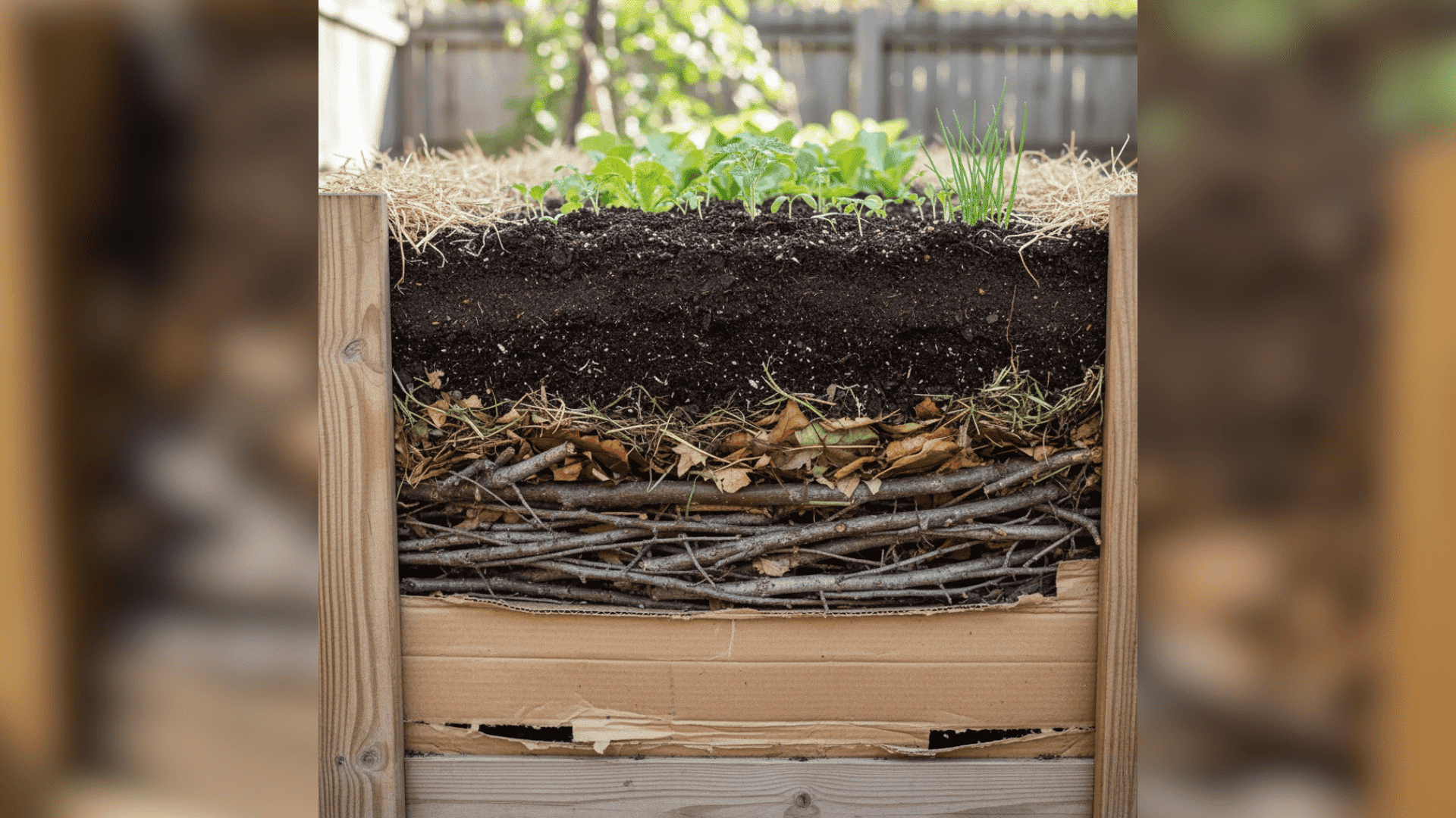 Diy Raised Garden Bed Layers For Strong Plant Growth - The Martinnest with regard to Why the Best Raised Bed Soil Blends Balance Drainage and Nutrients Perfectly