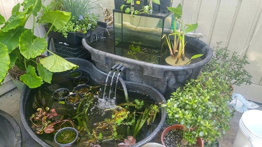 Diy Small Garden Ponds 25 Cheap Diy Pond Ideas On A Budget: Homemade inside Backyard Pond Ideas Small Space
