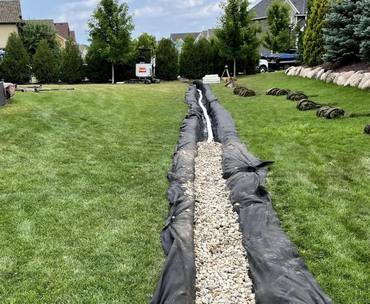 Do You Have To Use Furring Strips For Metal Roofs? - Forever Architect for Everything you need to know about establishing a resilient lawn where traditional turfgrass fails to thrive