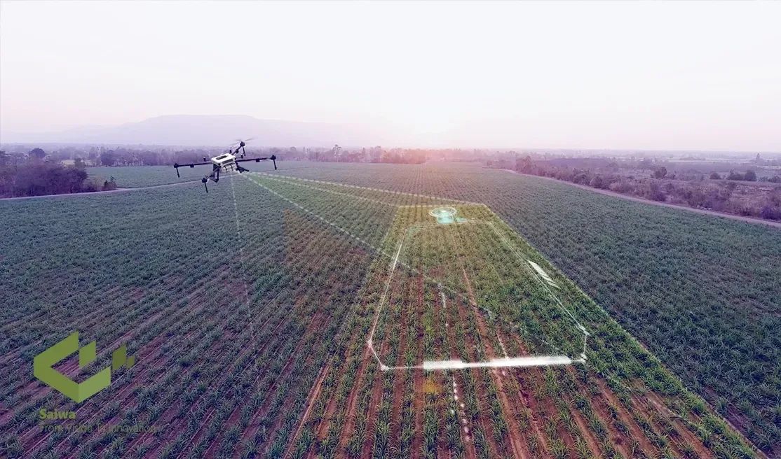 Drone Weed Mapping | Precision In Modern Weed Management throughout A Realistic Breakdown of Acreage and Hourly Rates for Modern Weed Management