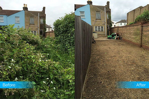 Easy Tips On Clearing Overgrown Garden - Fantastic Services Uk throughout How to accurately budget for clearing an overgrown yard this season