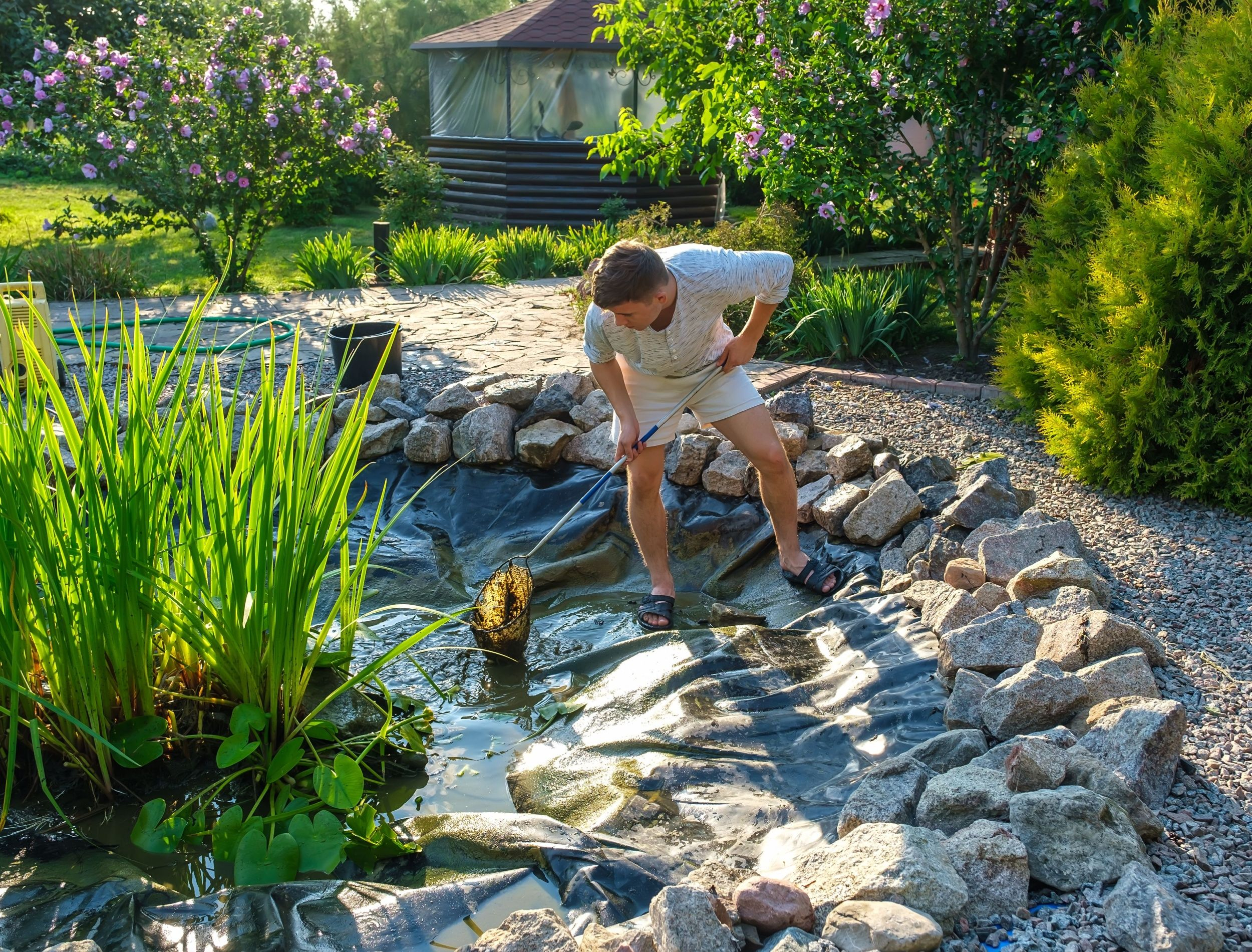Essential Fall Pond Maintenance Tips For A Healthy Backyard Oasis with regard to What Homeowners Actually Pay for a Garden Pond and How to Avoid Hidden Expenses