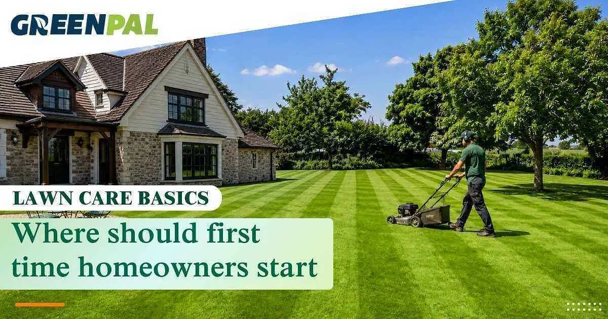 First-Time Homeowner Lawn Care Setup Guide For Beginners | Greenpal throughout Landscaping Mistakes To Avoid Beginners