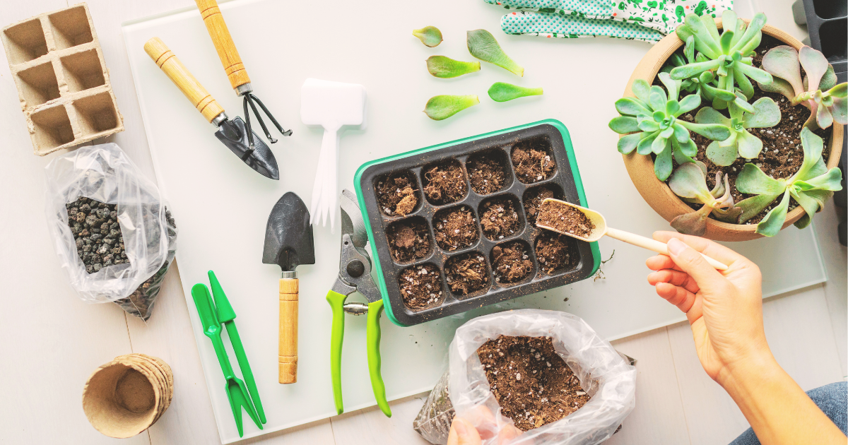 Flora | Indoor Plant Propagation Guide For Summer intended for Simple soil and propagation hacks that will save you hundreds on new plants