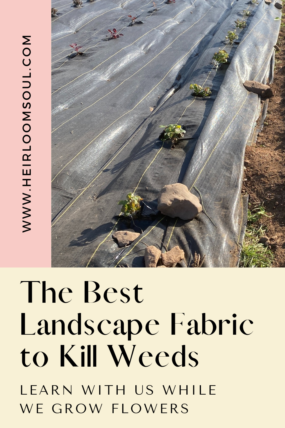 Garden Liner Prevent Weeds | Fasci Garden inside Practical Methods for Laying Landscape Fabric That Actually Stops Weeds From Growing Back