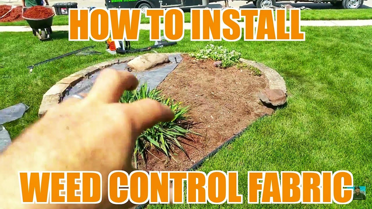 Garden Liners Weeds | Fasci Garden regarding Practical Methods for Laying Landscape Fabric That Actually Stops Weeds From Growing Back