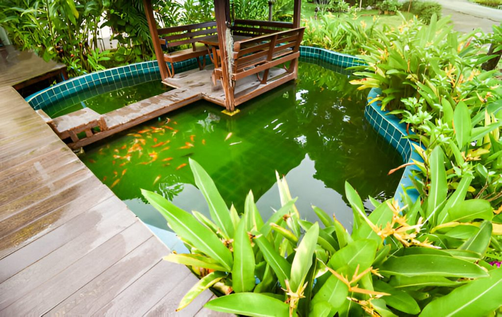 Hidden Costs Of Pond Ownership Unveiled | Alfa Bright with regard to What Homeowners Actually Pay for a Garden Pond and How to Avoid Hidden Expenses
