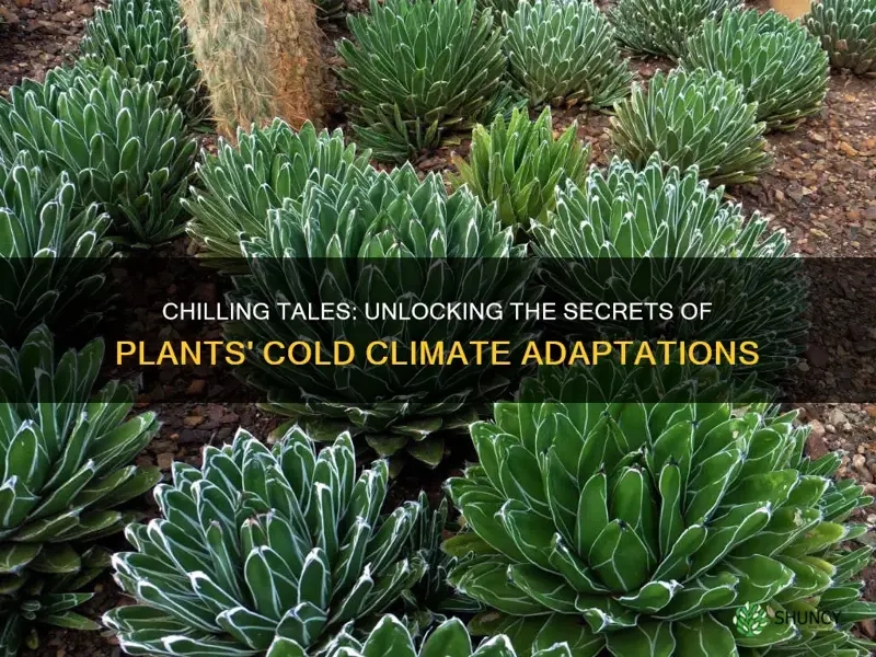 How Plants Adapt To Cold Climates: Antifreeze Proteins, Dormancy, And ... for Winter Landscaping Ideas Curb Appeal