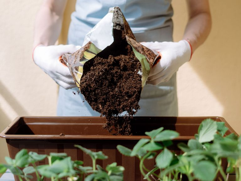 How To Amend Garden Soil For Your 2024 Growing Season | Livingetc for The Best Legit Sources for Finding Massive Batches of Free Soil Amender This Season