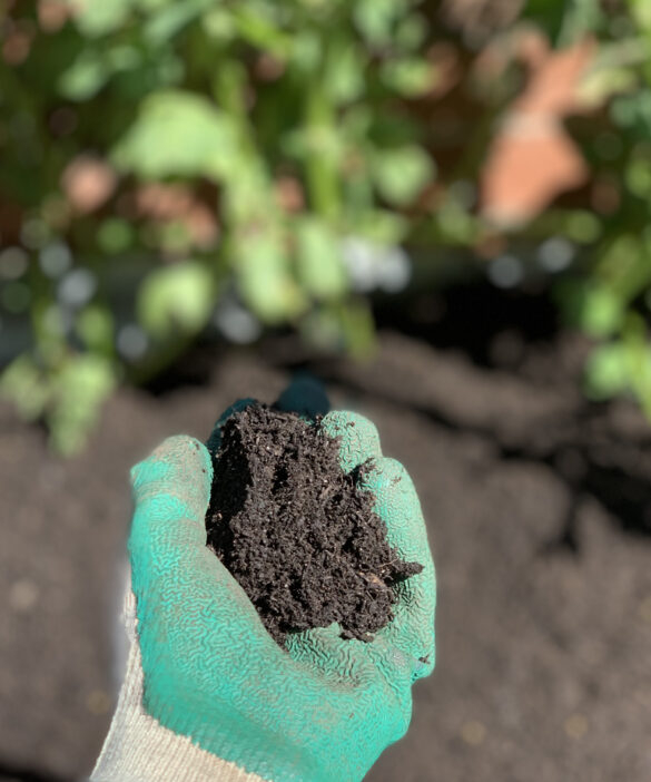 How To Amend Soil At The Start Of The Growing Season - The Gourmantic ... regarding How To Get Free Compost For Garden
