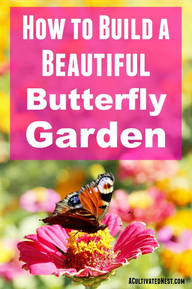 How To Build A Butterfly Garden - A Complete Guide in Butterfly Garden Plants For Beginners