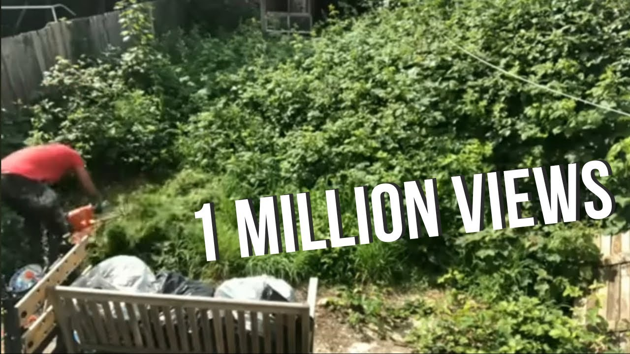 How To Clear An Overgrown Garden - Time Lapse - Youtube for Seasonal Yard Cleanup Cost Estimate