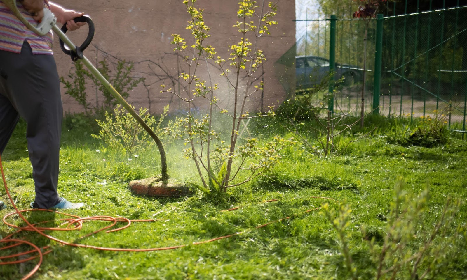 How To Clear Overgrown Yard: Tips For Seniors regarding How to accurately budget for clearing an overgrown yard this season