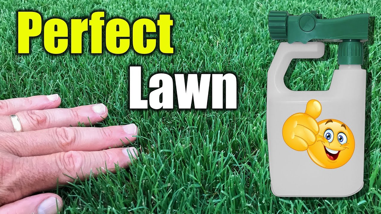 How To Get Thick Green Lush Lawn Quickly. - Youtube throughout How To Grow Grass In Bare Spots Fast