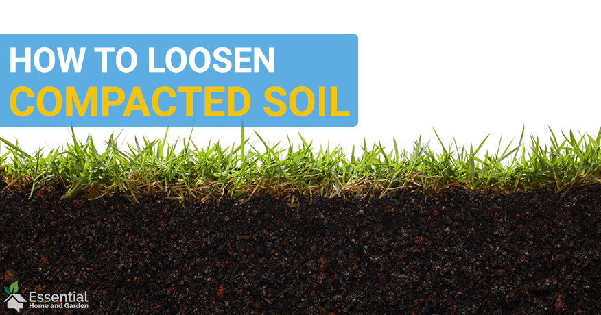 How To Loosen Compacted Soil And Improve Your Lawn inside Real ways to loosen compacted clay soil for a healthier landscape in 2026