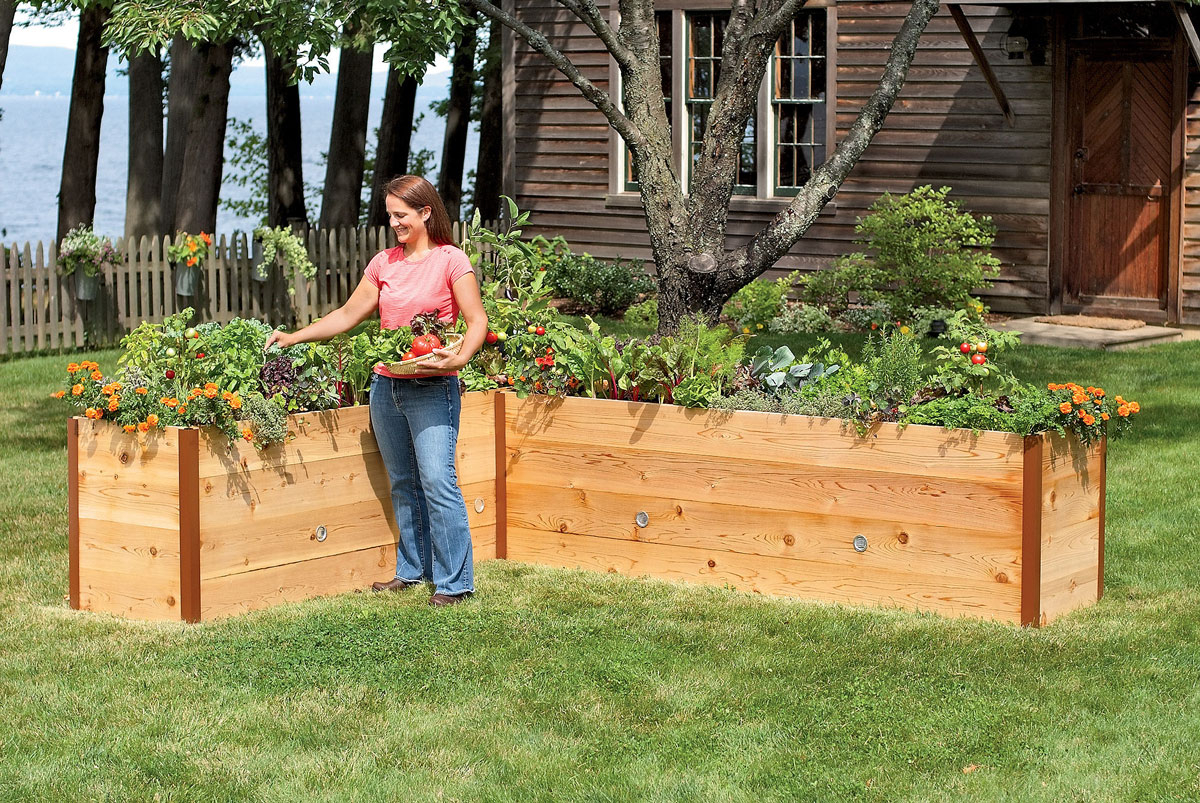 How To Make A Raised Garden Bed With Cedar At Justin Pineda Blog with How to Build a High-Yield Raised Garden Bed This Spring for Less Than $50